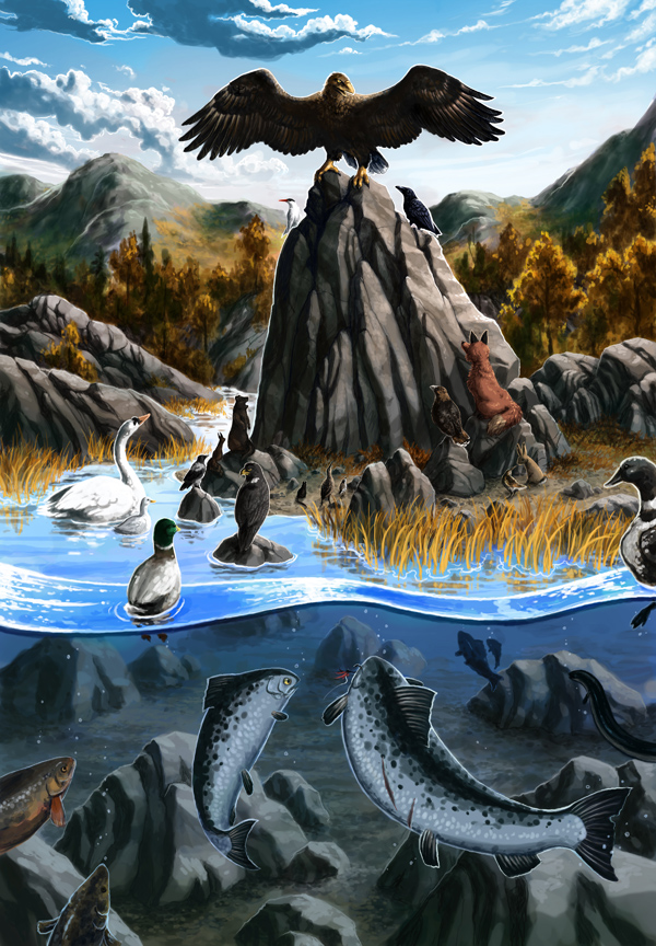 Book cover illustration by Minna Sundberg